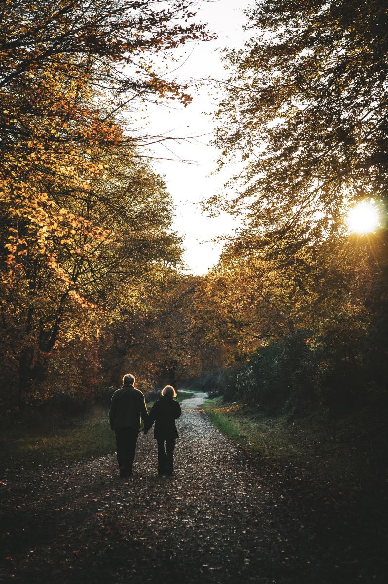 Queen Elizabeth Country Park, Hampshire